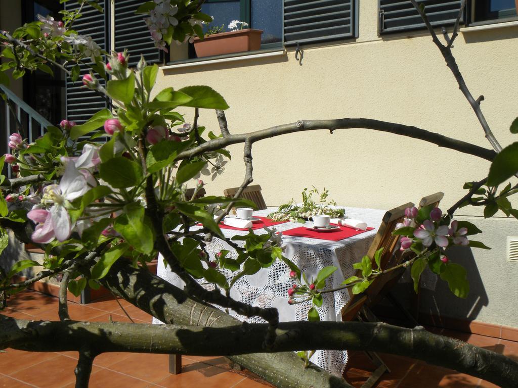 El Jardin De Los Gatos Apartament กาเซเรส ภายนอก รูปภาพ