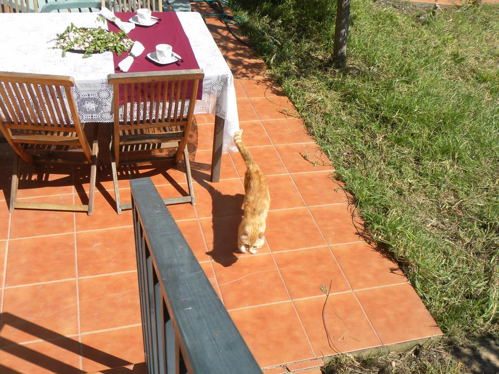 El Jardin De Los Gatos Apartament กาเซเรส ภายนอก รูปภาพ
